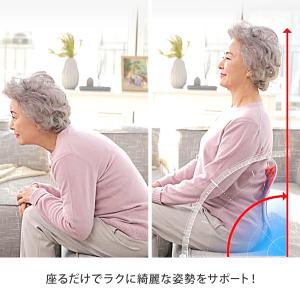 ピン セスジ 椅子 綺麗 姿勢 サポート 韓国...の詳細画像1
