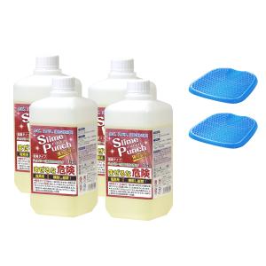 シュワッ！とパンチ （2パック） 洗浄 脱脂 除菌 漂白 消臭 油汚れ