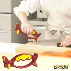 TOTO TOTO TEVN30U 大便器自動フラッシュバルブ （露出、AC100V、壁