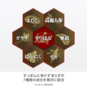 すっぽん皇帝 1本 すっぽん マカ まむし 高...の詳細画像2