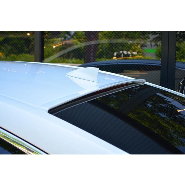 エムズスピード レクサス LS 500 F SPORT VXFA50/VXFA55 前期 ルーフスポ...