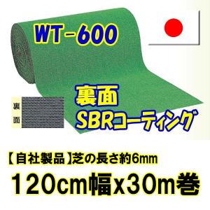 人工芝ロールタイプ　WT-600　120cm幅x30m巻【芝の長さ約6mm】｜dubian