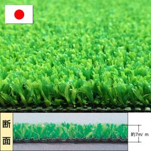 人工芝ロールタイプ MT-70 91cmx20m...の商品画像