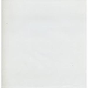 クリアーパック 12”/LP クリアーパック T...の商品画像