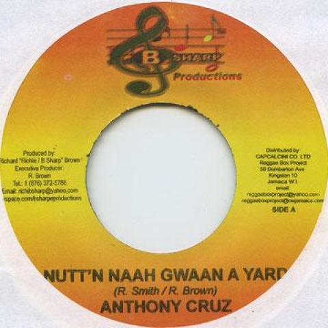 ジャマイカ7” Anthony Cruz Nuttn Naah Gwaan A Yard B Sha...