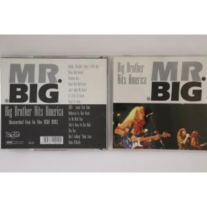 輸入CD Mr Big Big Brother Hits America DGCD010 DV GIG /00110