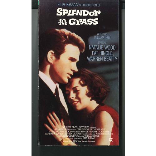 米VHS Movie Splendor In The Grass 11164 WARNER /003...