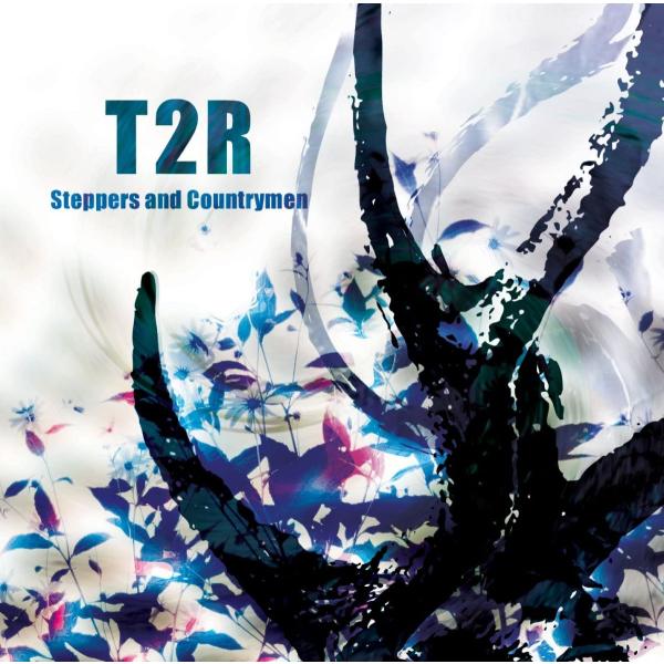 CD T2R STEPPERS AND COUNTRYMEN  STAD002  /00110