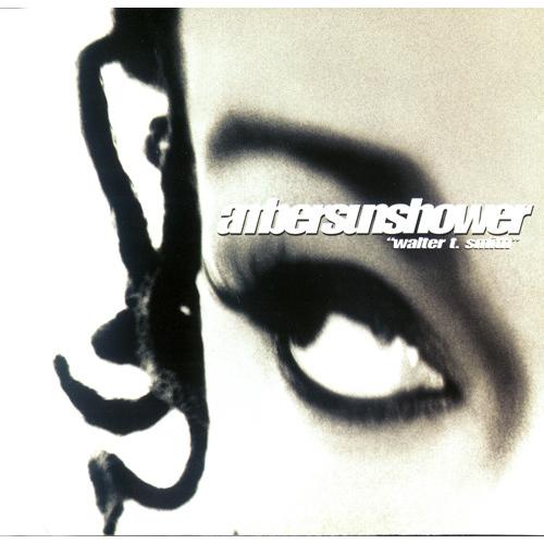 米CD Ambersunshower Walter T. Smith PRCD72142PROMO ...