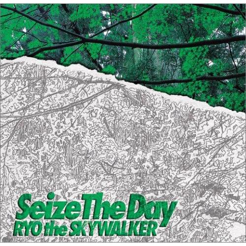 CD RYO the SKYWALKER, R.Yamaguchi, Tanco, Sly Dunb...