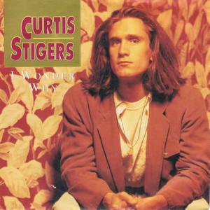 英7” Curtis Stigers I Wonder Why 114716 Arista /00080