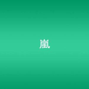 CD 嵐 Beautiful World JSNC003 /00110