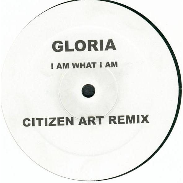 ベルギー12" Gloria Gaynor I Am What I Am B26082601 ARS...