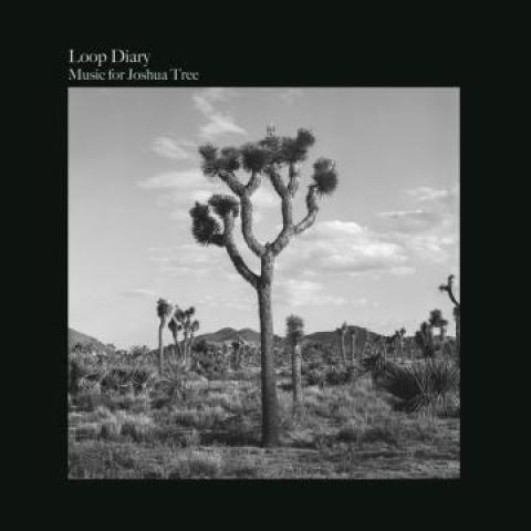 LP Loop Diary Music For Joshua Tree GRLP001 Glocal...