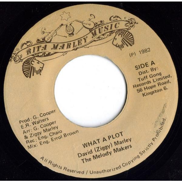 ジャマイカ7” David Marley / The Melody Make What A Plot...