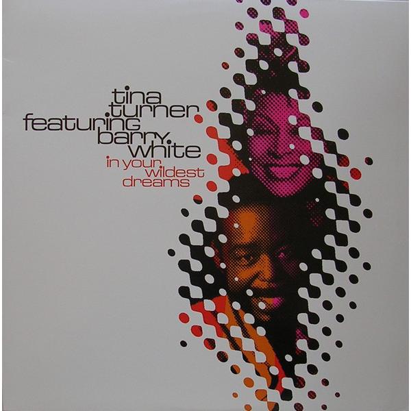 米12” Tina Turner, Barry White In Your Wildest Drea...