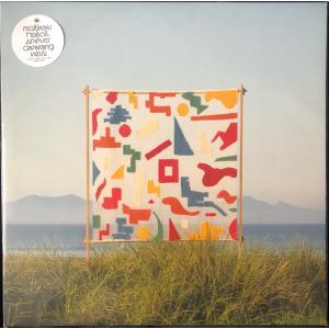 英2LP Matthew Halsall An Ever Changing View GONDLP062 Gondwana Records /00520