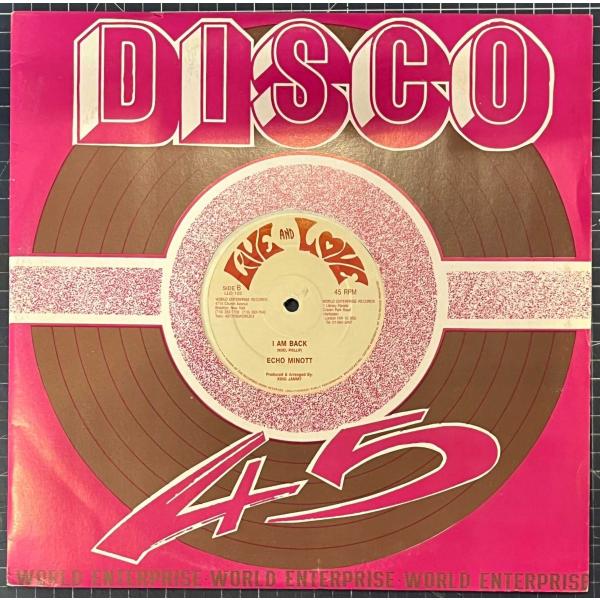 英12” Admiral Bailey / Echo Minott Winey Winey / I ...