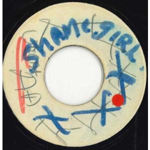 ジャマイカ7” Tyrone Taylor Shame On You / Cant Stop Loving You none Not On Label /00050
