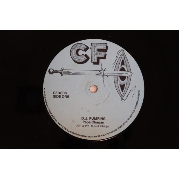英12” Courtney Barkley / Papa Charja I Am Alright /...