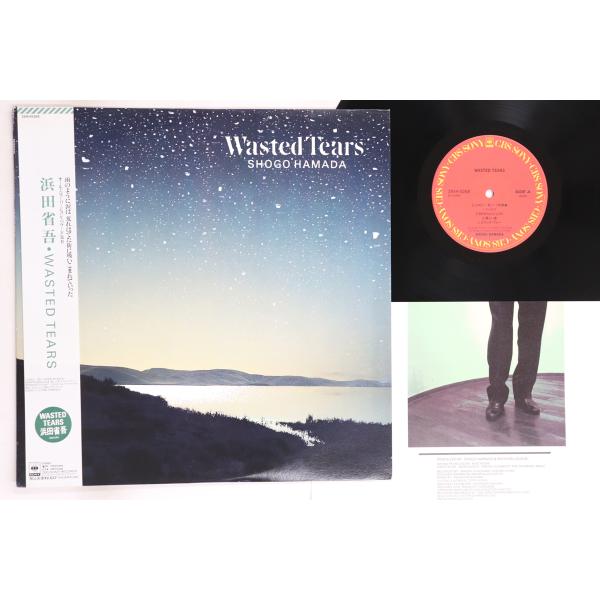LP 浜田省吾 Wasted Tears 28AH5269 CBS SONY /00260