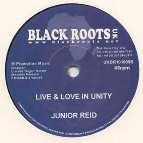 7” Trevor Junior, Junior Reid Never Run Away / Liv...