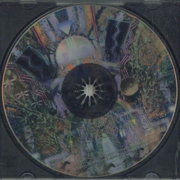 CD R. Carlos Nakai In A Distant Place 992162 CANYO...