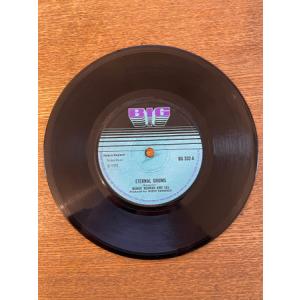 英7” Bongo Herman & L...の商品画像