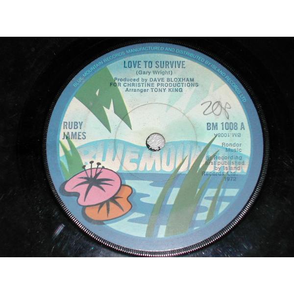 英7” Ruby James Love To Survive BM1008 Blue Mountai...