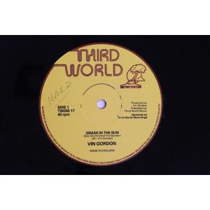 英12” Vin Gordon Grass In The Sun / Split Second TWDIS17 THIRD WORLD /00250