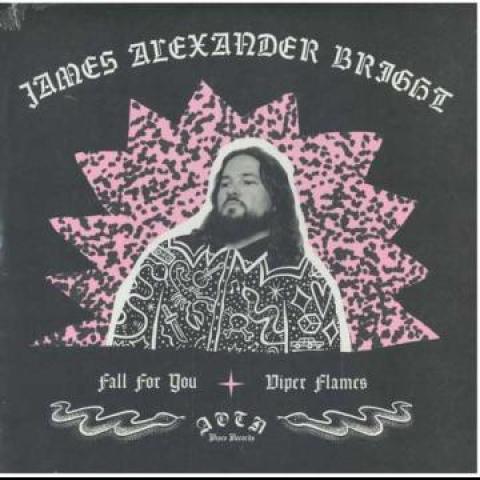 7” James Alexander Bright Fall For You / Viper Fla...