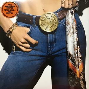 2discs LP Brand New Heavies Never Stop (Best Of) IPOT5521960 IMPORT LABEL 未開封 /00520