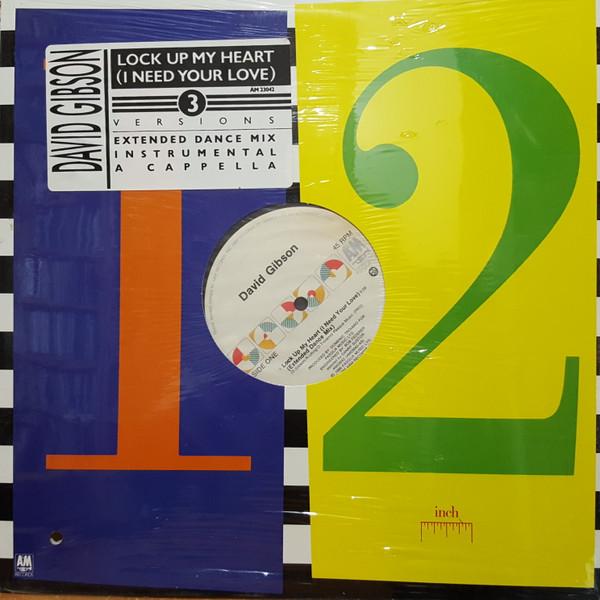 12” David Gibson Lock Up My Heart (I Need Your Lov...