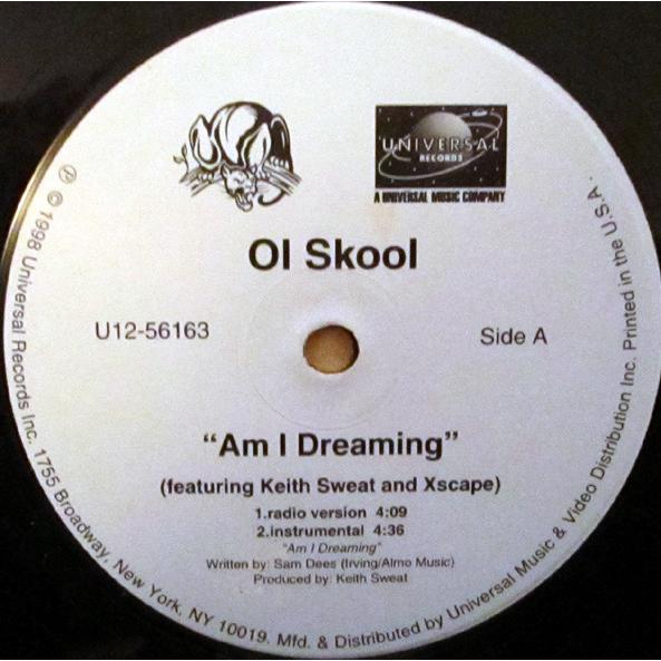 12” Ol Skool Am I Dreaming U1256163 Universal Reco...