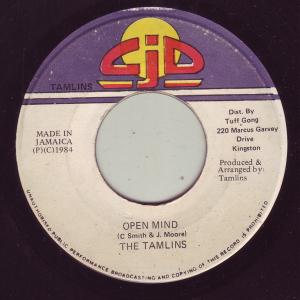 7” Tamlins Open Mind NONE CJD /00080