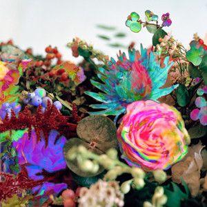 CD Darkstar News From Nowhere BRC360 Beat Records /00110