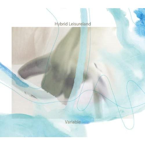 CD Hybrid Leisureland Variable DLCA0004 Double Lif...