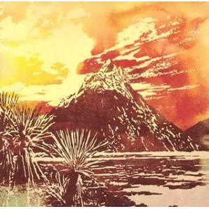 CD ACIDMAN ある証明 TOCT4866 Virgin Records /00110