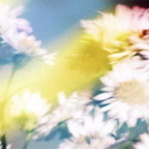 2discs CD Plastic Tree シオン(初回限定盤A)(DVD付)  VIZB30  ...