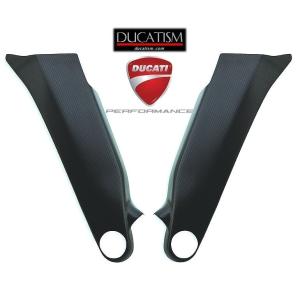 DUCATI パニガーレ V4/V4S/V4R 2019-22 カーボン製フレームカバー