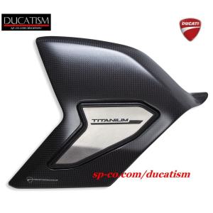 9月セール DUCATI パニガーレ V4 スイングアーム カーボン＆チタン製プロテクター