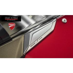 DUCATI  Panigale V4 Newミラーホール カバー V4(2019-21)/V4R(2019-21)/V2(2020-21)