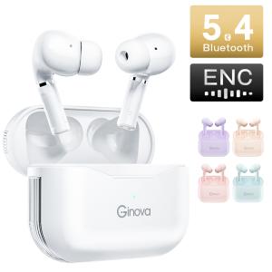 ワイヤレスイヤホン AIP EAR DEVIL [AP-TW55H] 完全ワイヤレスイヤホン