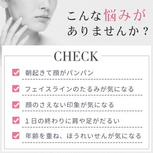 「1年保証」美顔ローラー マイクロカレント ソ...の詳細画像2