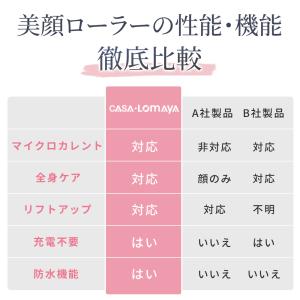 美顔ローラー 美顔器 マイクロカレント Y字型...の詳細画像1