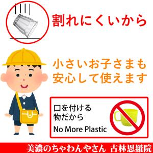 デュラレックス DURALEX/ ピカルディ ...の詳細画像5