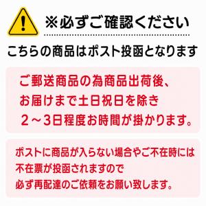 ダスキン 石けん付きスチールウール(10個入)の詳細画像3