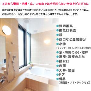 浴室 クリーニング バスルーム お掃除 プロ ...の詳細画像1