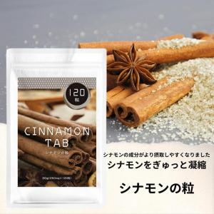 シナモン サプリメント シナモンサプリ シナモン...の商品画像