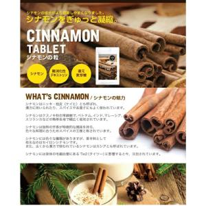 シナモン サプリメント シナモンサプリ シナモ...の詳細画像1